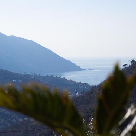 Villa Le Macine Molino Nuovo  Εξωτερικό φωτογραφία