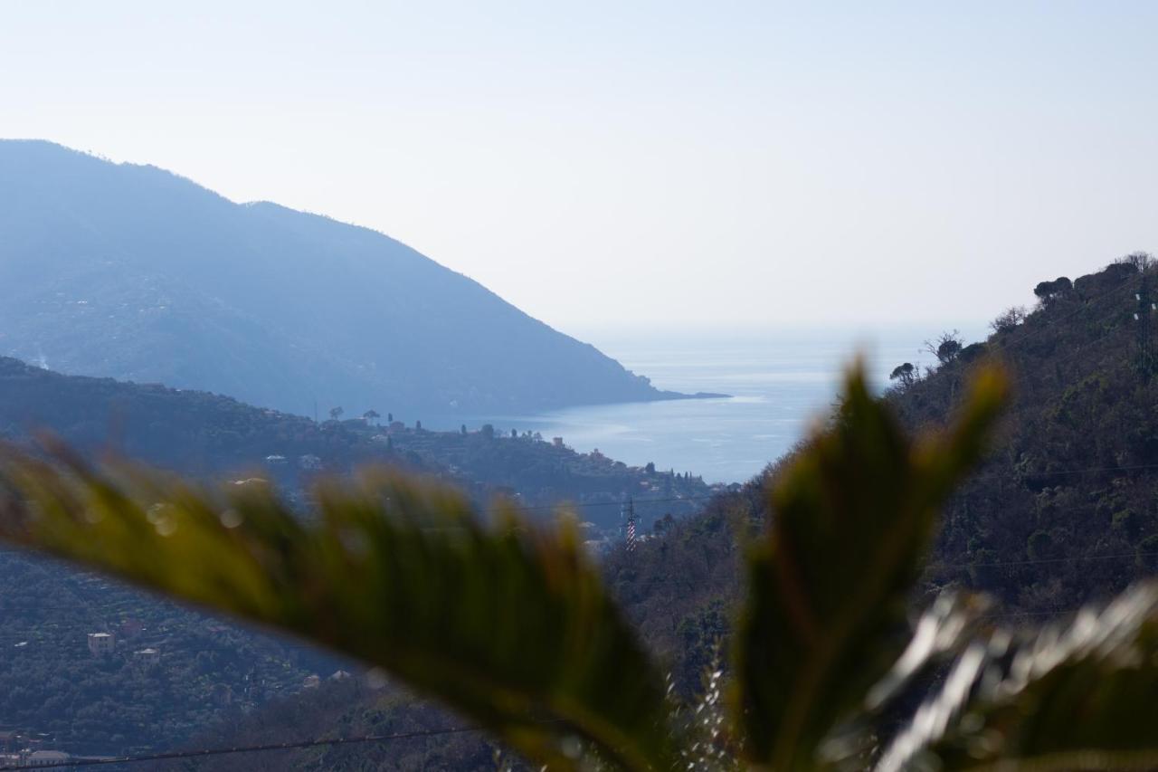 Villa Le Macine Molino Nuovo  Εξωτερικό φωτογραφία